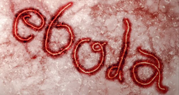 Credit to http://www.thehealthsite.com/news/ebola-virus-is-mutating-rapidly-say-scientists/ 